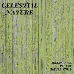 Celestial Nature - Inseparable Part of Nature, Vol. 6