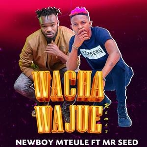 WACHA WAJUE REMIX (feat. MR SEED)