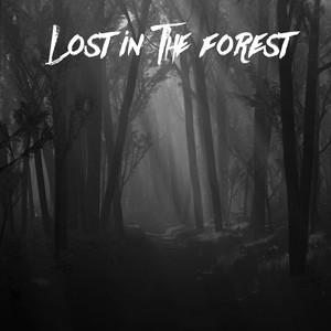 Lost In The Forest