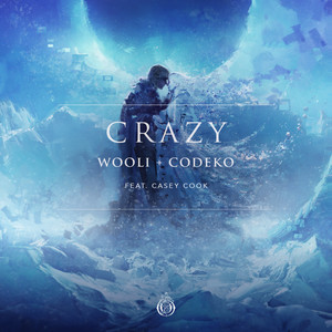 Wooli - Crazy(feat. Casey Cook)