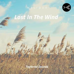 Lost In The Wind