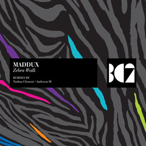 Zebra Walk (Anderson M Remix)