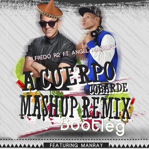 A Cuerpo Cobarde (Bootleg Mashup Remix)