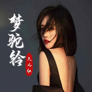 梦驼铃 (新声版DJ默涵版)封面