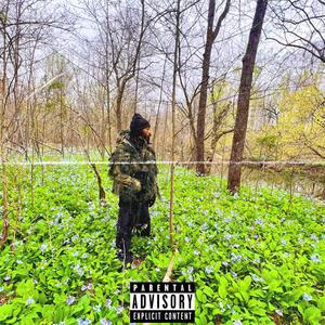 BETTER (feat. Mikey Wyllin) (Explicit)