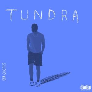 TUNDRA (Explicit)