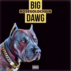 Big Dawg (Explicit)