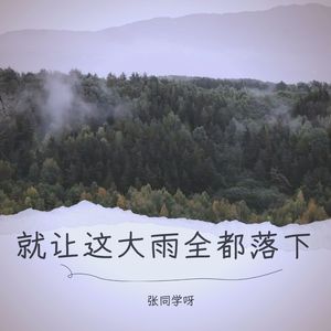 就让这大雨全都落下