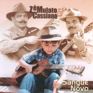 Solteirão