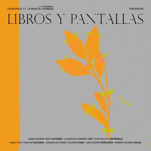 Libros y Pantallas