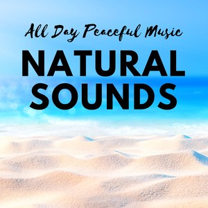 Natural Sounds: All Day Peaceful Music for Relaxation, Meditation Music Experience, Zen Garden, Amazing New Age Music