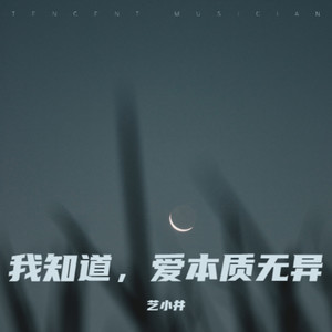 我知道，爱本质无异