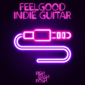 FEELGOOD INDIE GUITAR