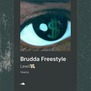 Brudda Freestyle (feat. Vonte) (Explicit)