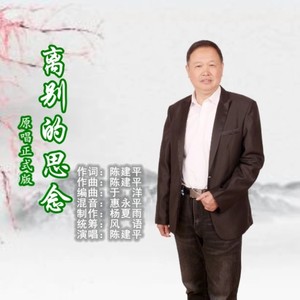 离别的思念 (伴奏)