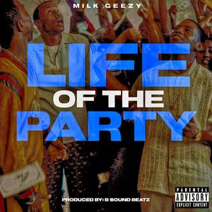 Life Of The Party (Explicit)