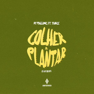 Colher & Plantar (Explicit)