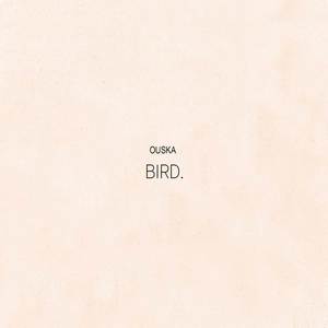 Bird.