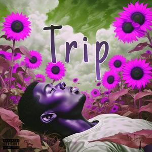 Trip (Explicit)