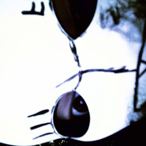 Twitter Slut (Explicit)