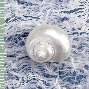 东西 (East to West)