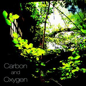 Carbon and Oxygen IV