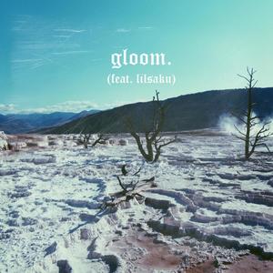 Gloom.(feat. LilSaku) (Explicit)