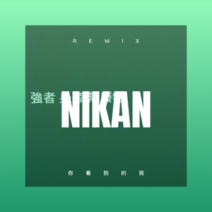 厉志勇 - 爱过也哭过笑过痛过最后 (DJ版)