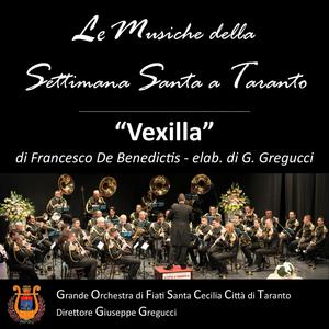 VEXILLA (feat. Francesco De Benedictis) [funeral march]