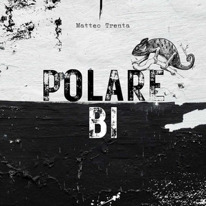 POLARE BI