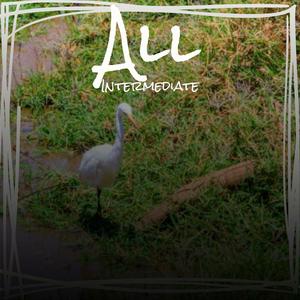 Physical Incandescent