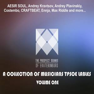 A Collection of Musicians Tpsoe Lables, Vol. One