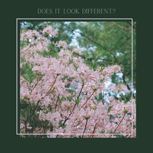 Does it Look Different? (feat. Karissa Bone) (Explicit)