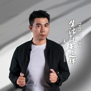 生活就是这样（DJ）