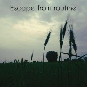 Escape from routine