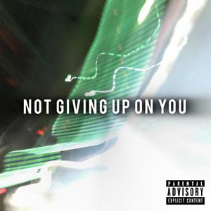 not giving up on you