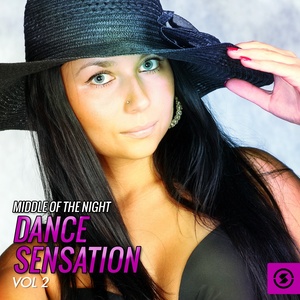 Middle of the Night Dance Sensation, Vol. 2