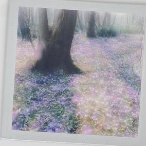 Fairytale(feat. JADEACYHILL) (Explicit)