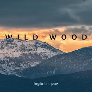 Wild Wood (feat. pav)