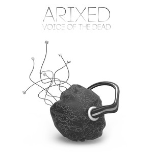 Voice Of The Dead (Original Mix)