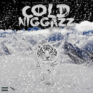 Cold Niggazz (Explicit)