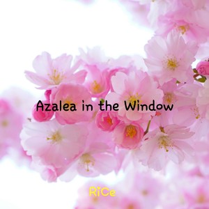 Azalea in the Window