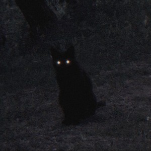 Do Not Give up! (Sped Up)