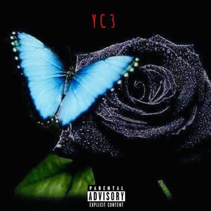Your Company Two Butterfly (Explicit)