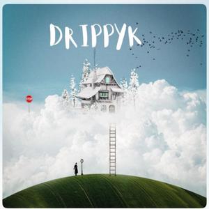 DND (feat. Rxybandz) (Explicit)