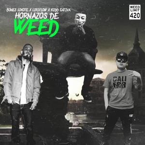 Hornazos De Weed (feat. Bones Lokote, Liriflow & Hip Hop Mafia) [Explicit]