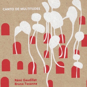 Canto de Multitudes