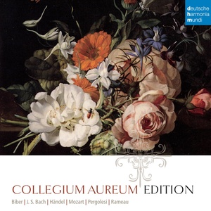Collegium Aureum - Cantata No. 209: Non sa che sia dolore, BWV 209 - Sinfonia