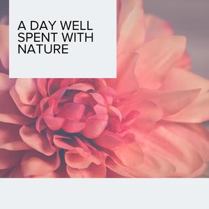 Sleep Steady Campfire