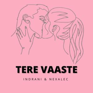 Tere Vaaste (feat. Indrani)